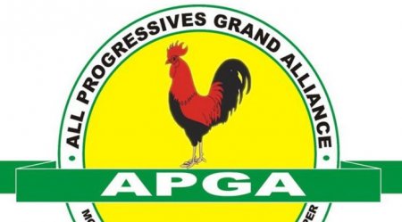 Thisdaylive Newspaper-APGA.jpg