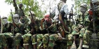 Topix News-Boko Haram.jpg