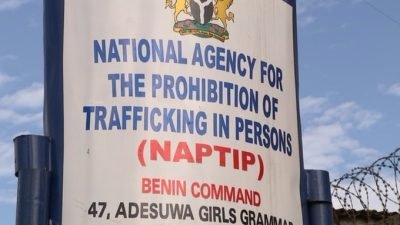 PM News Nigeria-NAPTIP.jpg