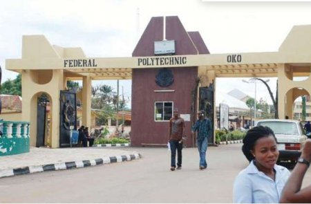 Pulse.ng News-Federal University Oko.JPG