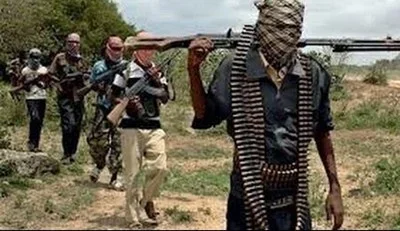 290524F1.Boko-Haram-Gunmen.jpg