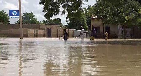 channel Television-Jigawa-flood-2.jpg