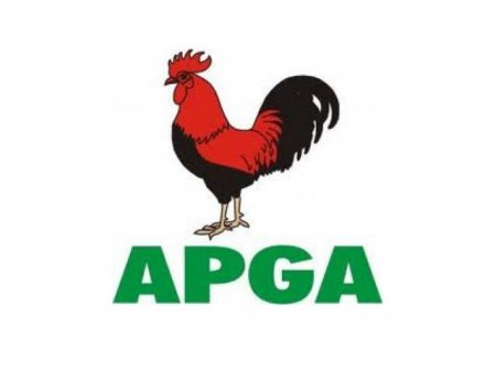 Daily Post Nigeria-APGA-Logo.jpg