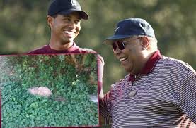 tiger wood and daa.jpg