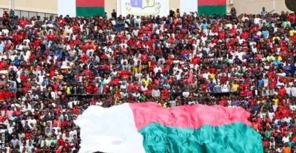 Madagascar Fans.webp