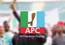 PUnch Newspaper-APC.webp
