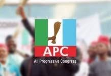 PUnch Newspaper-APC.jpg