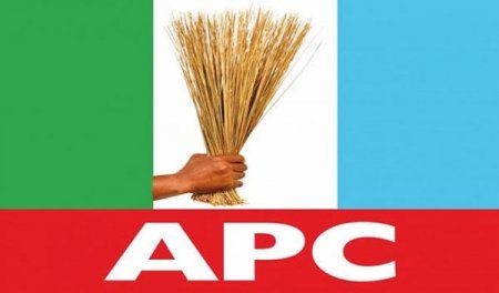 Daily Post NIgeria-APC.jpg