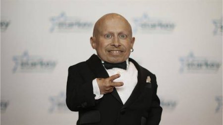 verne.jpg