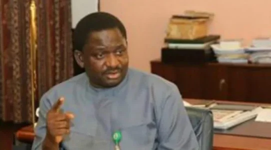 Femi Adesina.webp