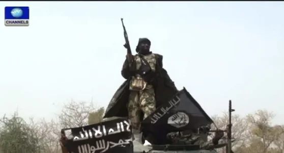 Boko-Haram.webp