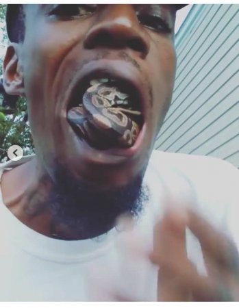 Man Puts Python In His Mouth.jpg