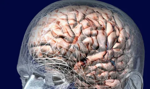 Human-brain-1099086.webp