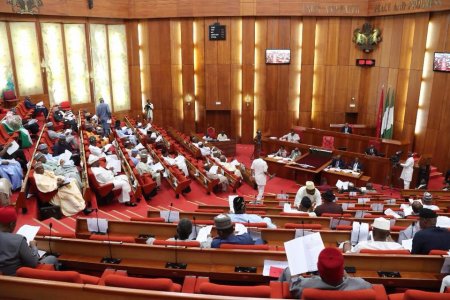 The Chamber of the Nigerian Senate.jpg