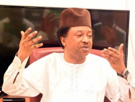 Shehu Sani.jpg