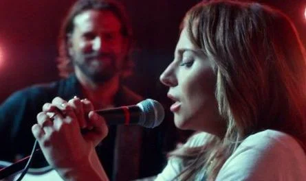 star is born.webp star is born.webp