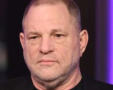 harvey.webp harvey.webp