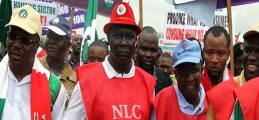 nlc.webp