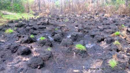 Contaminated-Farmland-K-Dere.jpg