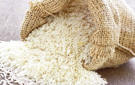 rice-production.jpg