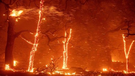 California wildfires.jpg