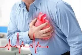 heart.webp heart.webp
