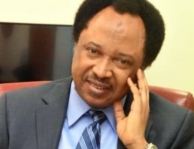 shehu sani.jpg