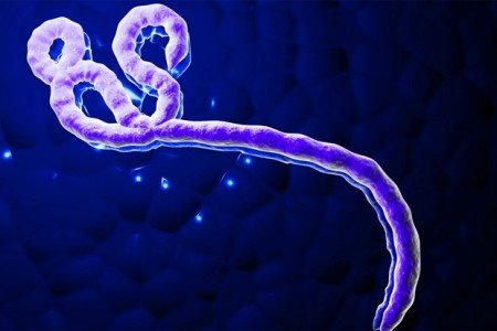 ebola-450x300.jpg