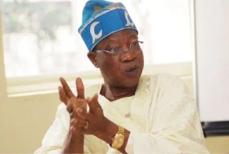 Lai-Mohammed-447x300.webp