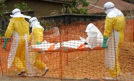 ebola3.webp
