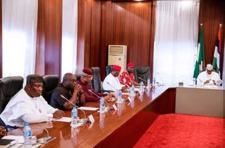 Meeting with Buhari.webp
