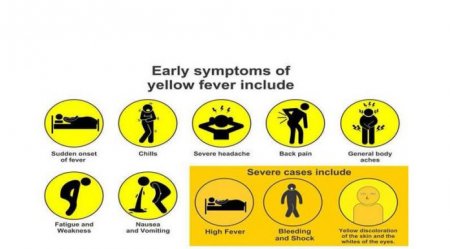 d052c06e-yellow-fever-symptoms-696x385.jpg