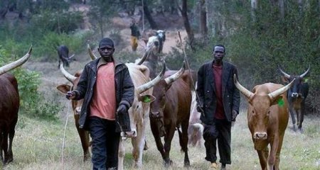 Fulani-herdsmen.jpg
