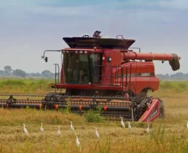 agric.webp