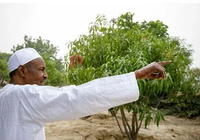 buhari.webp buhari.webp