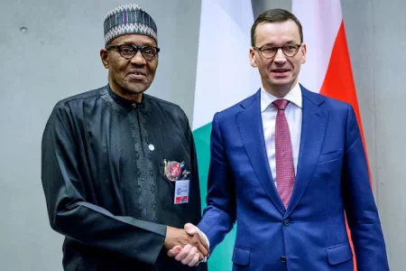 H.E. Andrzej Duda and Buhari.webp