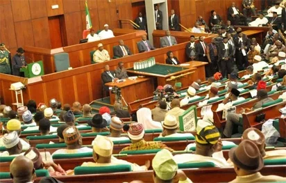 House of Representative.webp