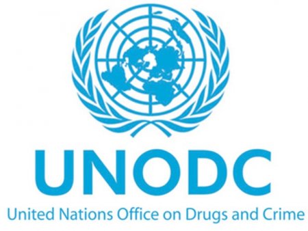 UNODC.jpg