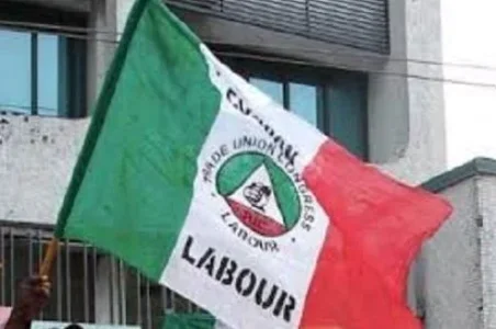 labour.webp labour.webp