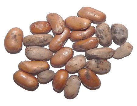 African-nutmeg.jpg