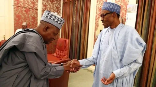 Shettima meets with Buhari.webp