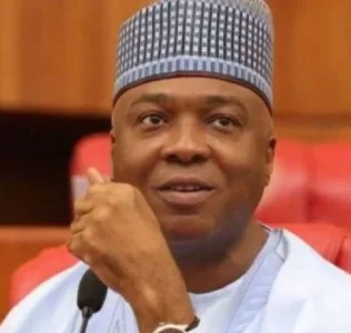 saraki.webp