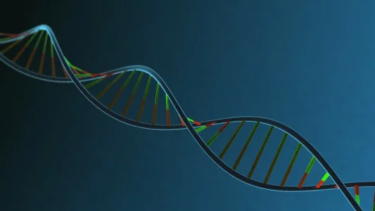 gene.webp