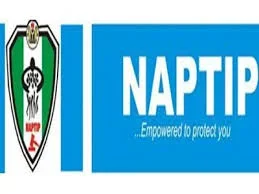 naptip.webp naptip.webp