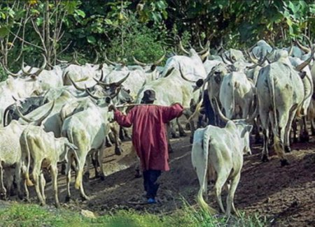 Suspected herdsmen.jpg