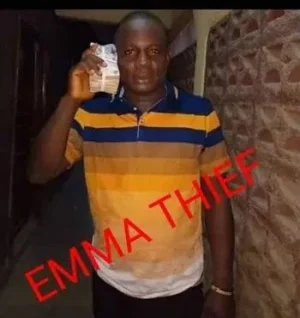 emma.webp