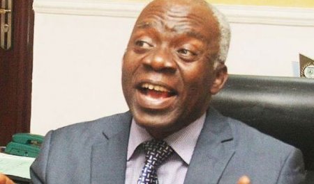 falana.JPG