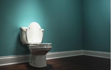 toilet.JPG