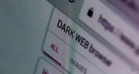 Dark web.JPG