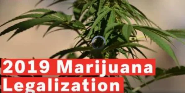 cannabis.webp